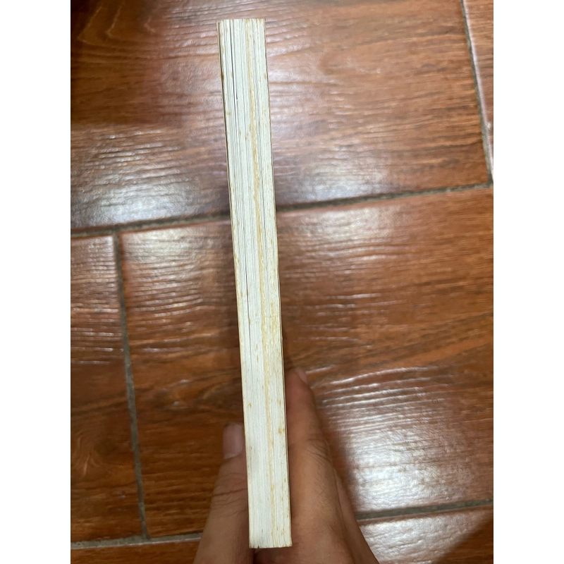 Mãi mãi tuổi hai mươi (k1) 479020