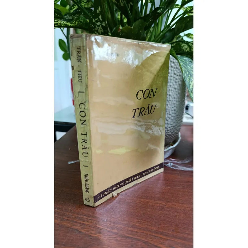 CON TRÂU - TRẦN TIÊU 704135