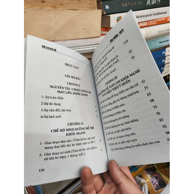 Nuôi Con Mau Lớn - Hồng Phượng - Lan Vy 1001059