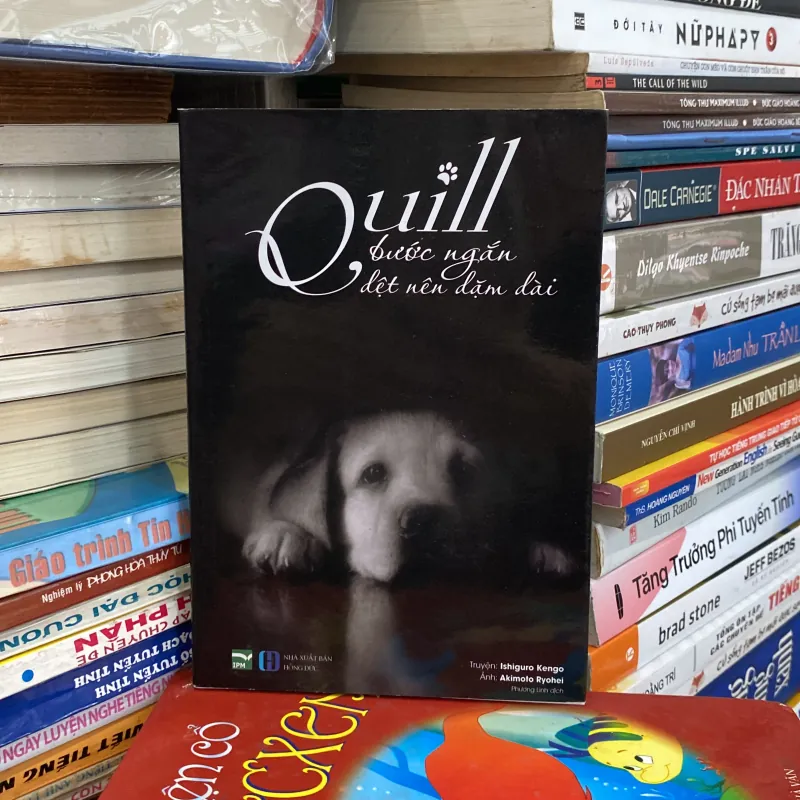 Quill Bước Ngắn Dệt Nên Dặm Dài♟️ 747872