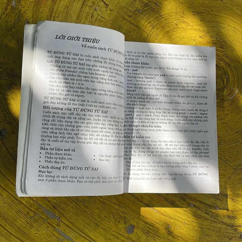 TỪ ĐÚNG & TỪ SAI RIGHT WORD WRONG- THY HẢI 696129