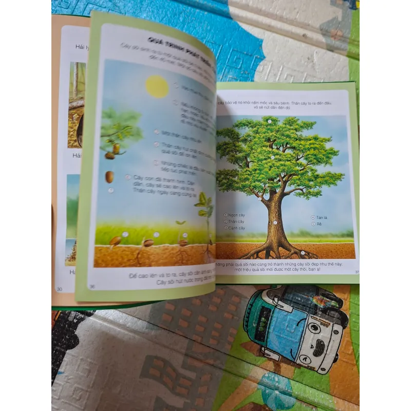 Thế giới hình ảnh của bé 975677