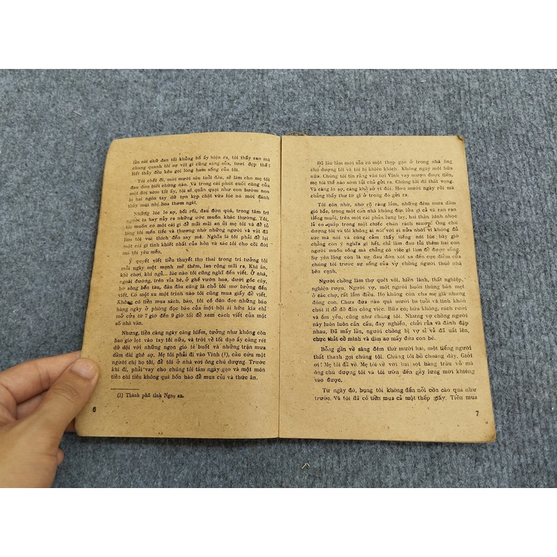 BỈ VỎ - NGUYÊN HỒNG 479751