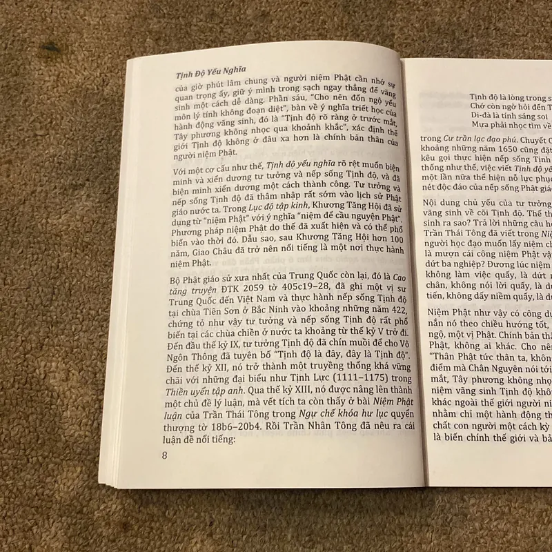 Tịnh Độ Yếu Nghĩa- Soạn: Chân Nguyễn Tuệ Đăng- Dich Chủ: Lê Mạnh Thát 689162