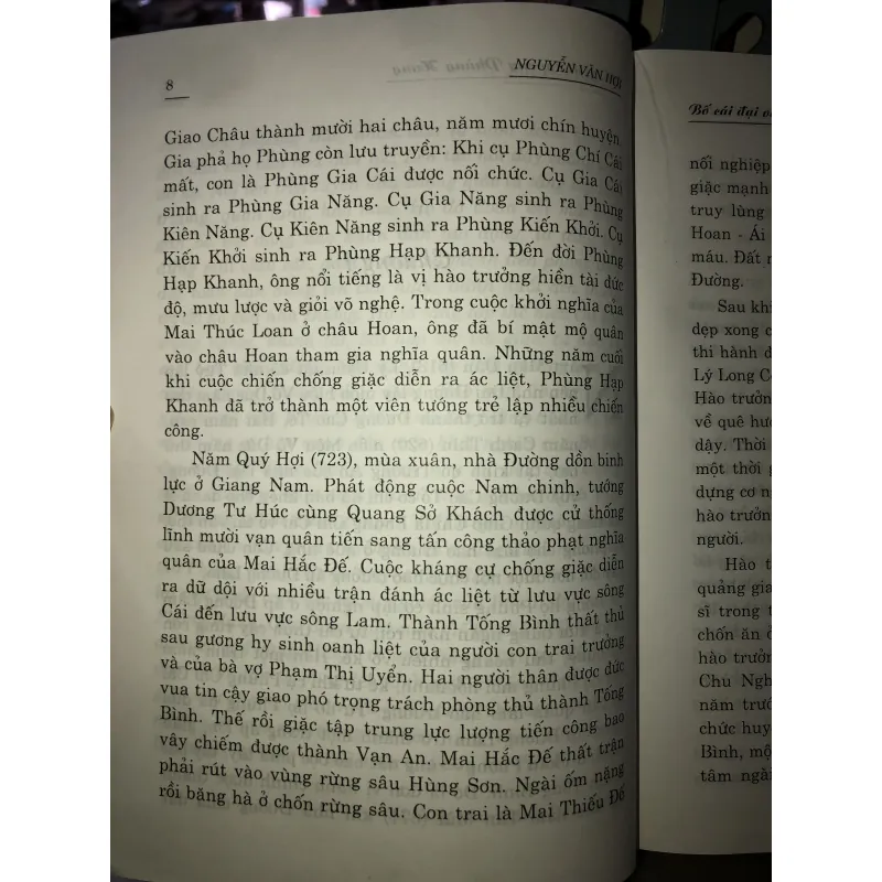 Bố Cái Đại Vương - Phùng Hưng - Nguyễn Văn Hợi 997374