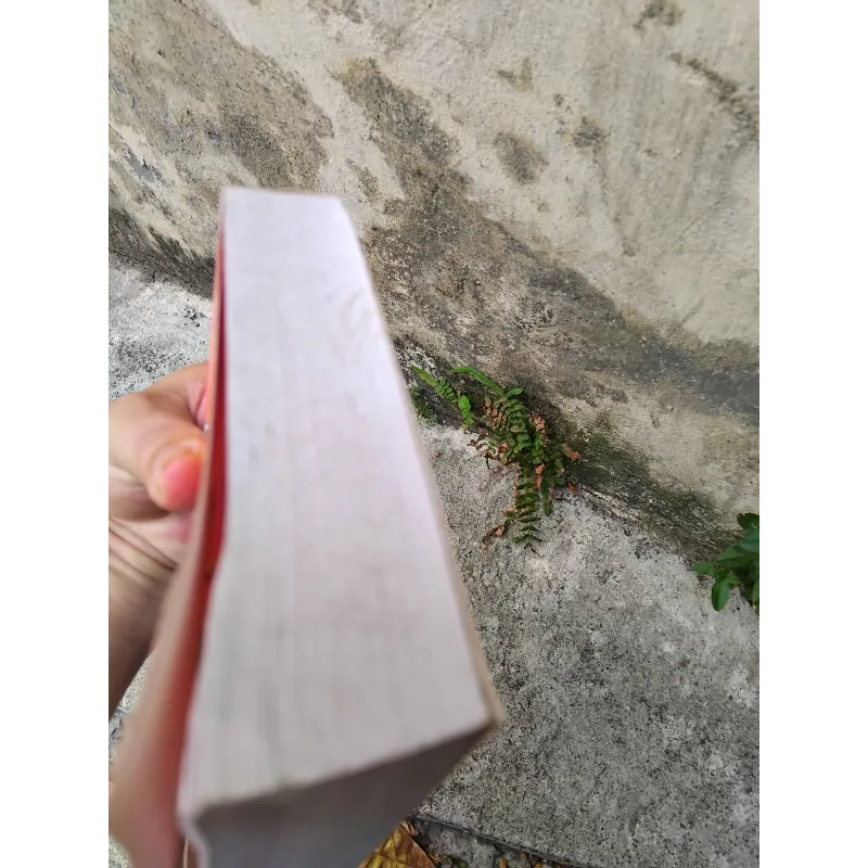 Bí mật gia đình tiểu thuyết của Irène Frain  1005704