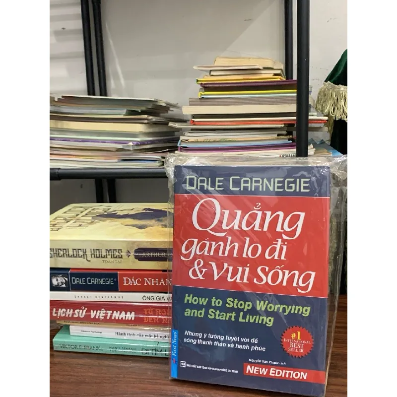 Quẳng gánh lo đi và vui sống (How to Stop Worrying and Start Living) – Dale Carnegie 561565