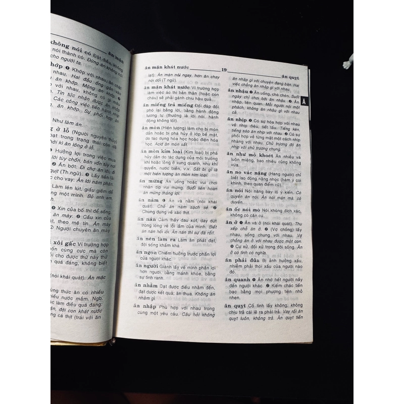 Từ điển tiếng Việt 453453