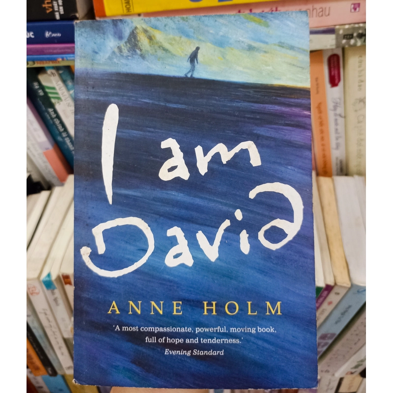 I am David 🌻 533895