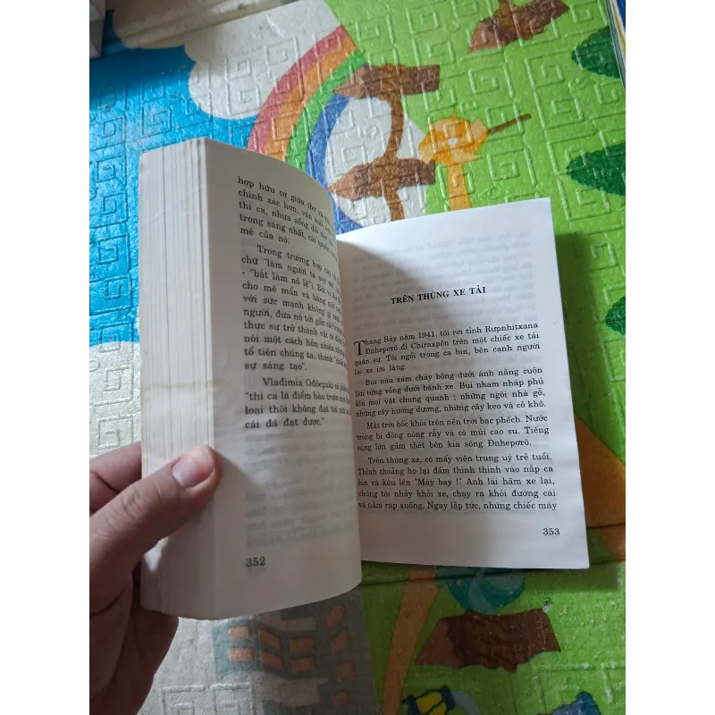 Bông Hồng Vàng 976118