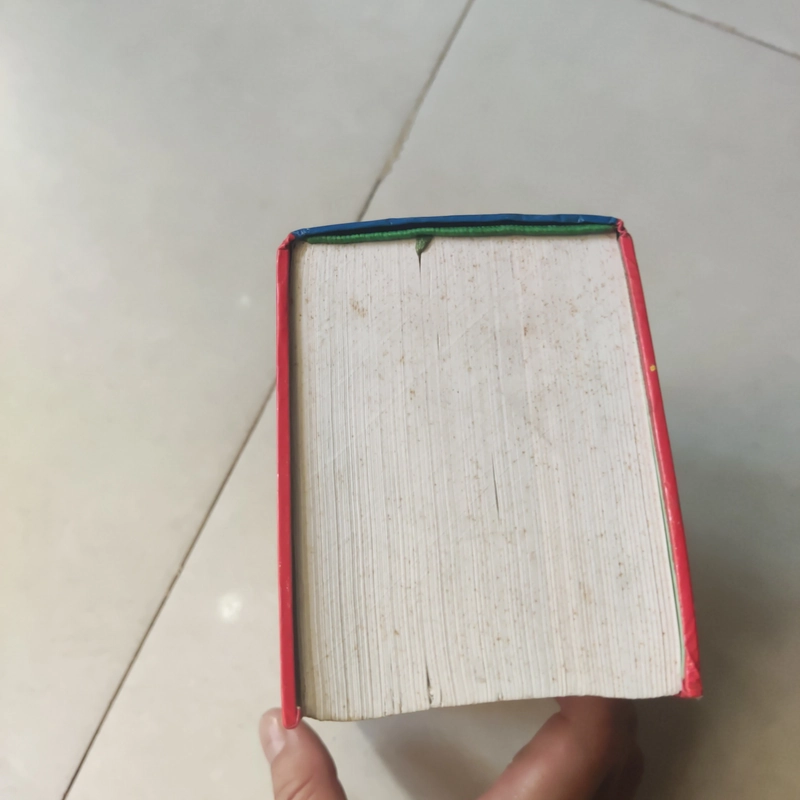 Từ điển hán Việt  393132