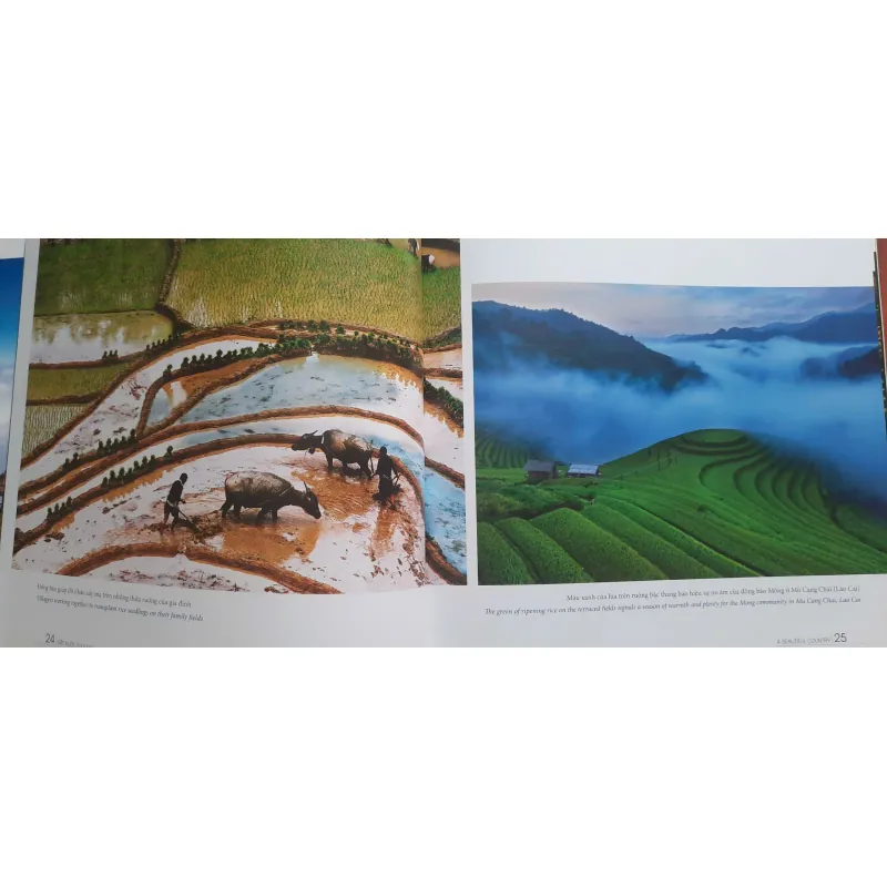 Việt Nam Hạnh phúc - HAPPY VIETNAM 711956