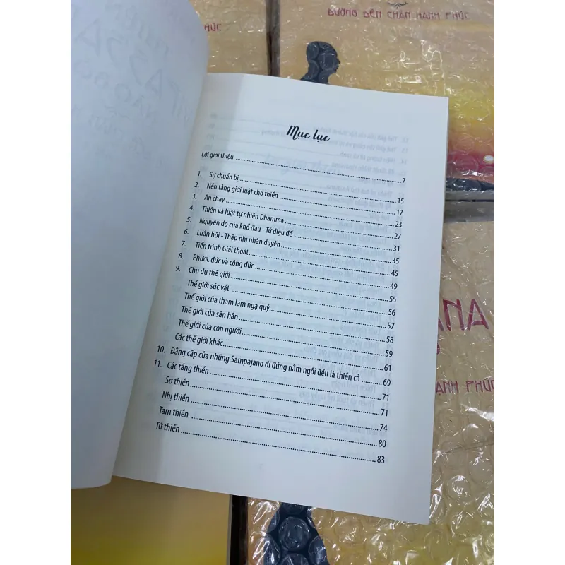 THIỀN VIPASSANA NÃO BỘ: ĐƯỜNG ĐẾN CHÂN HẠNH PHÚC 791293