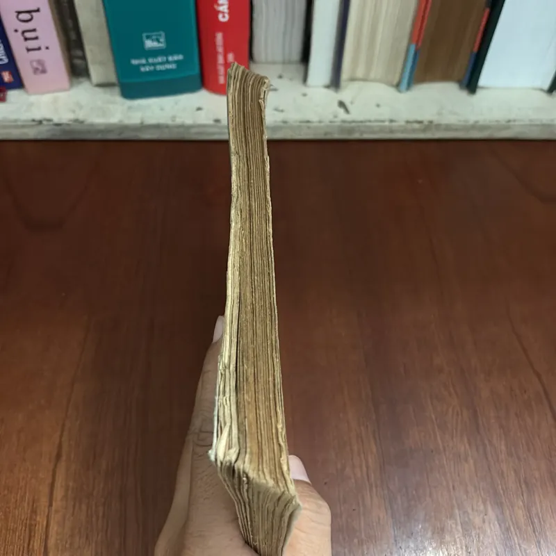 II Sách Xưa: Miếng Bít Tết - Nhiều Tác Giả - 1983 605961