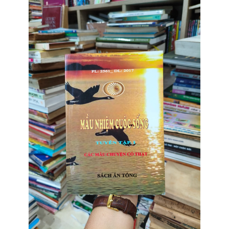 Màu nhiệm cuộc sống 🌱 510059