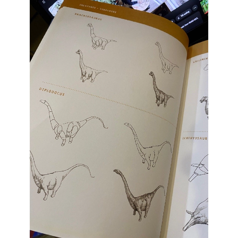 The Sketch Encyclopedia 527006