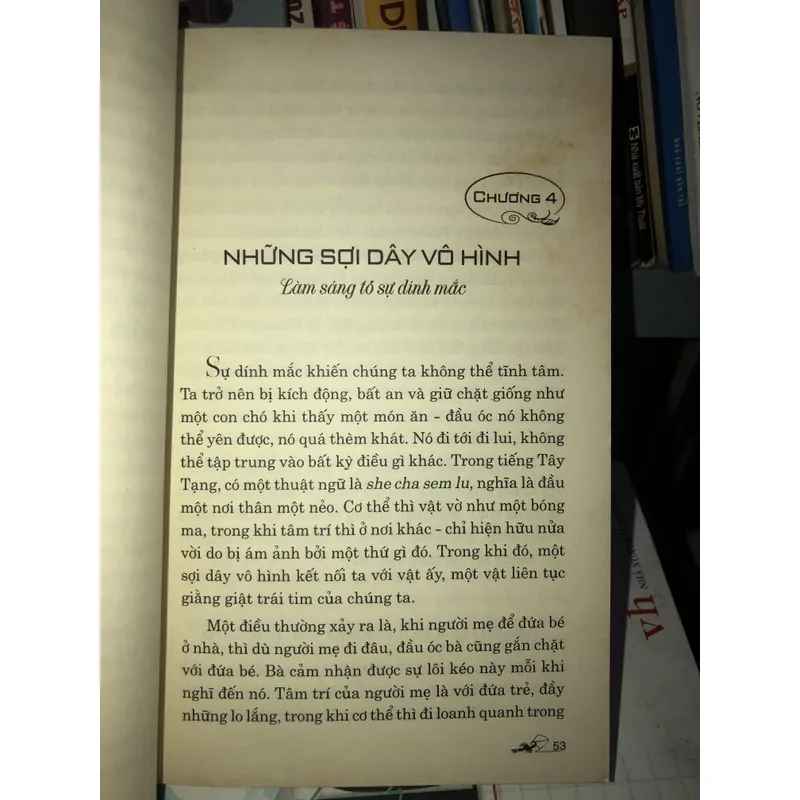 Linh quang hé lộ - Dzigar Kongtrul 728211