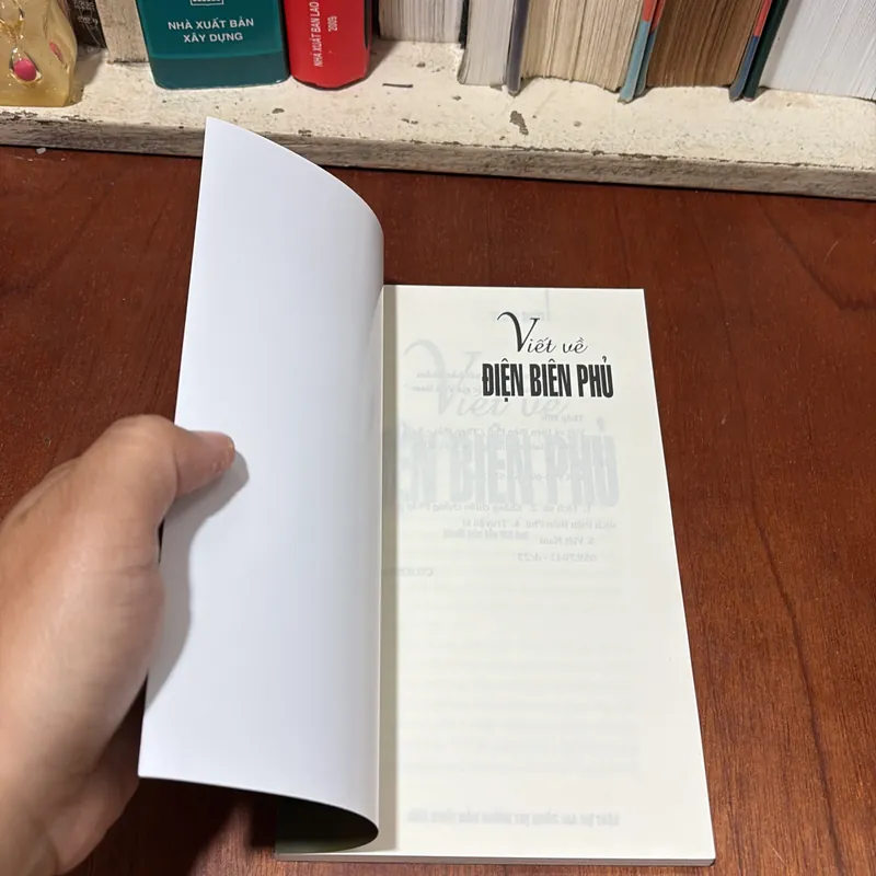 II Sách Lịch Sử: Viết Về Điện Biên Phủ - Thép Mới - 2024 722793