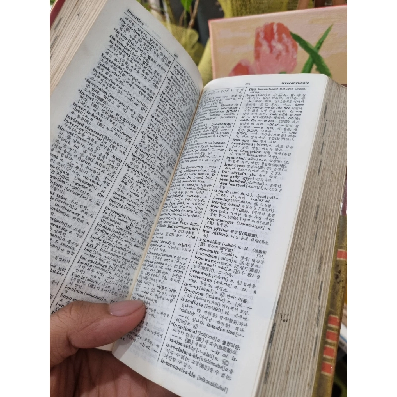 MINJUNGSEORIM'S New Little : English - Korean Dictionary 190735
