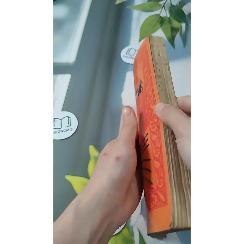 [MIỄN PHÍ BỌC SÁCH] Diện Cẩm Tam Thế - Dương Công Hầu 727288