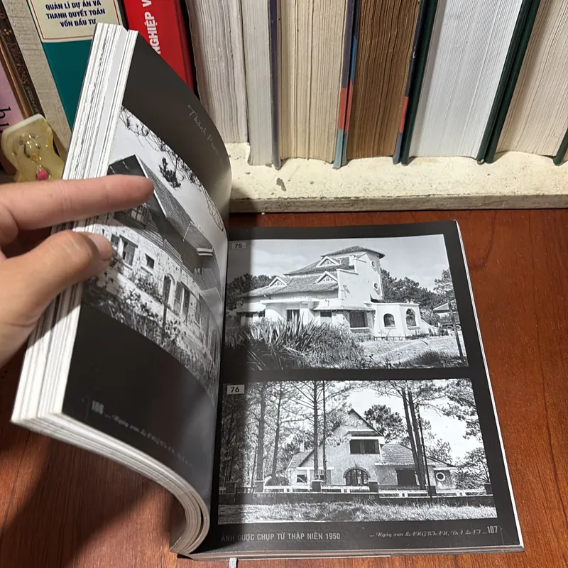 II Tranh Đà Lạt: Ngày Xưa Langbian… _ Đà Lạt - Tâm Thái - 2009 719533
