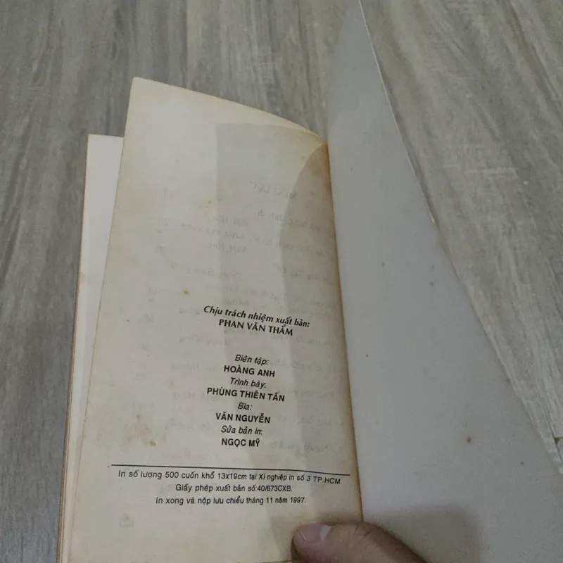 Những Gương Mặt Nữ Điệp Báo 733930