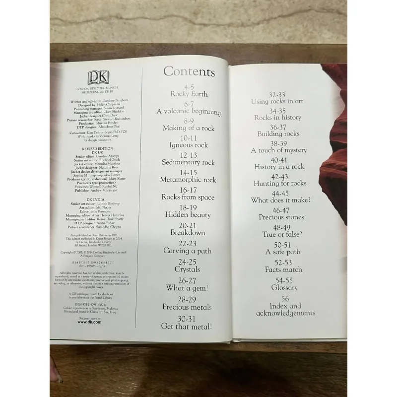 DK Eyewonder Series - Rocks and Minerals 730869