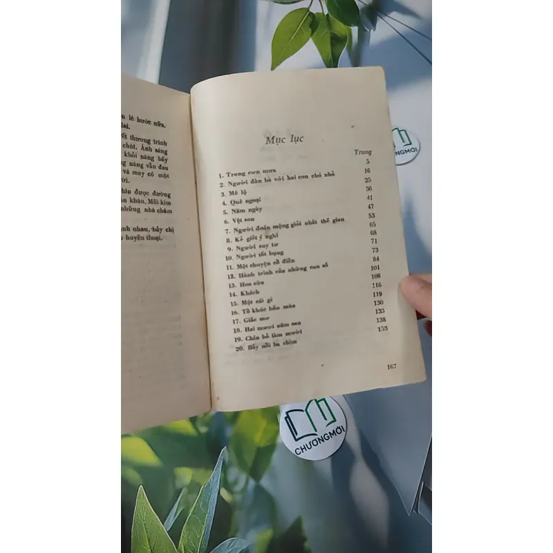 [MIỄN PHÍ BỌC SÁCH] [XƯA] Mê Lộ (1989) - Phạm Thị Hoài 997663