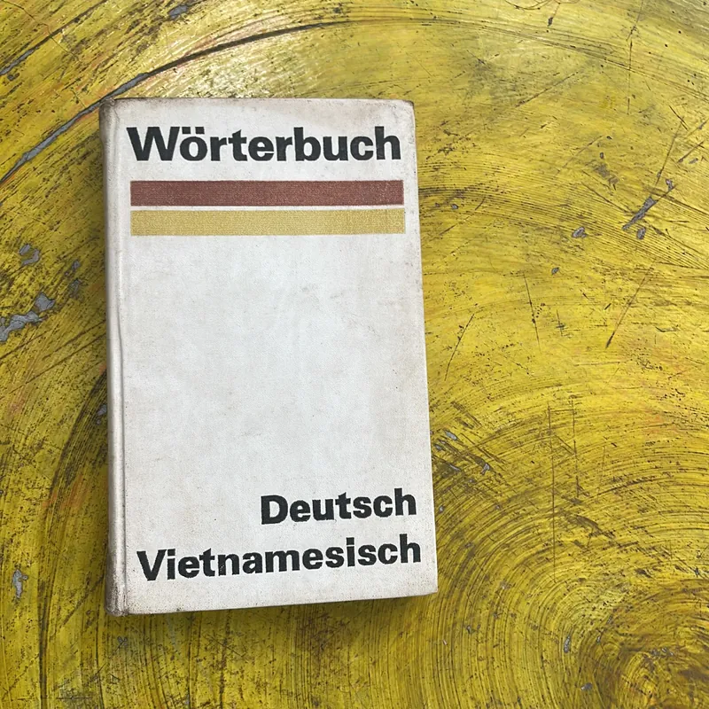 WORTERBUCH DEUTSCH VIETNAMESISCH 697927