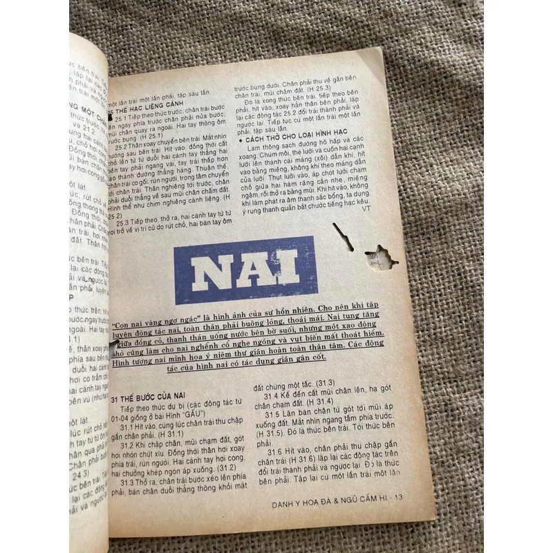 Võ thuật: Danh y, hoa đà, ngũ cầm hí 681219