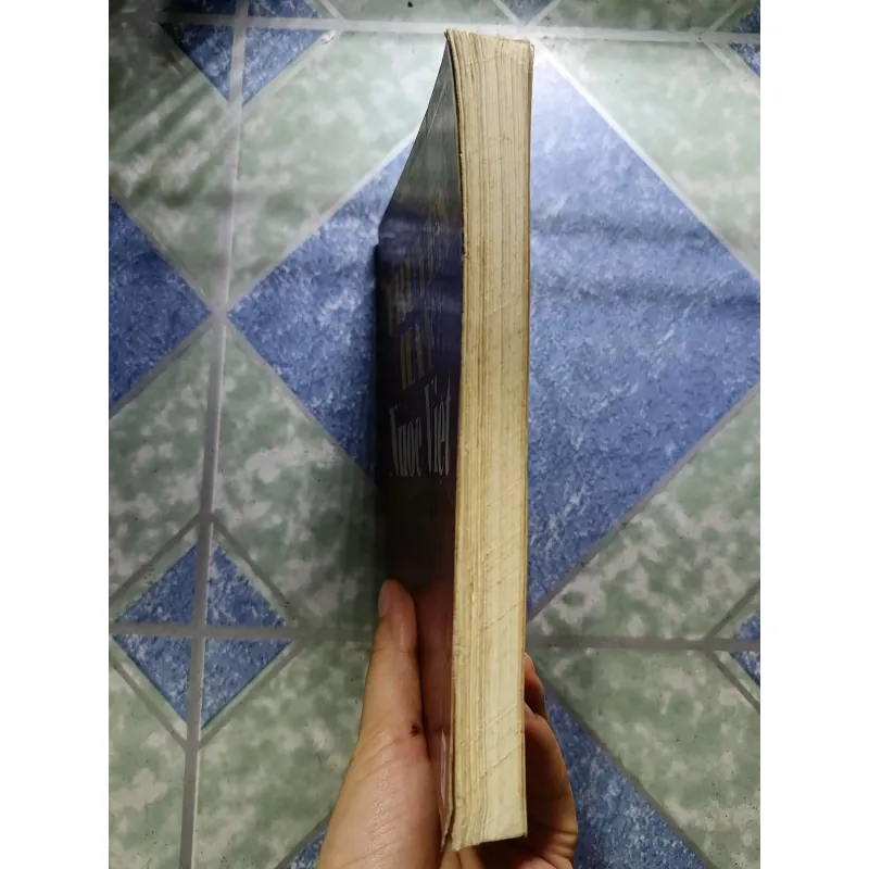 Truyện hay nước Việt - Đinh Gia Khánh 1006256