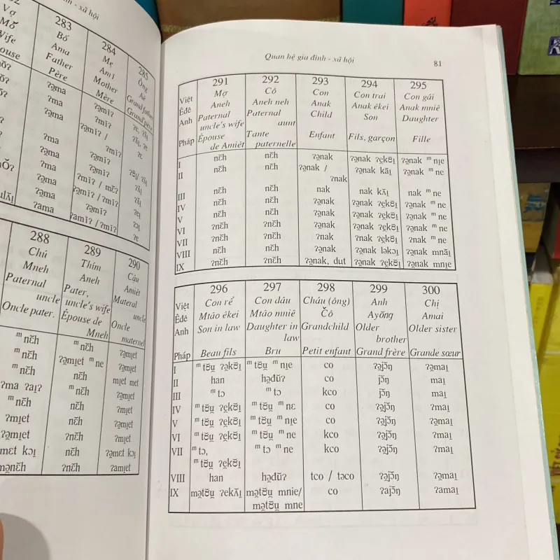 TỪ VỰNG CÁC PHƯƠNG NGỮ Ê ĐÊ, bản bìa cứng (XB 1998) 937586
