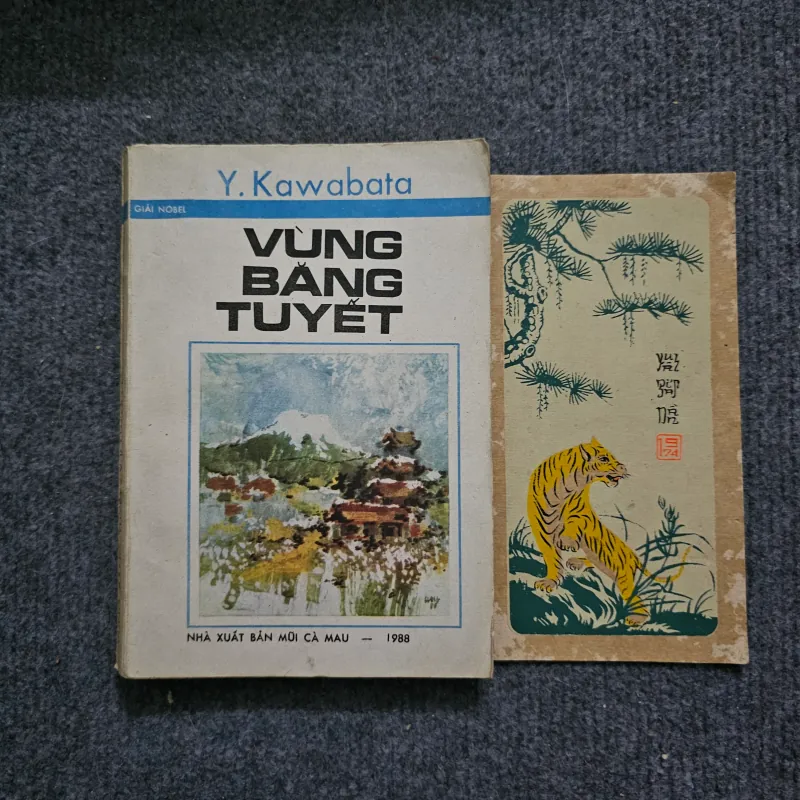 Vùng băng tuyết - kawabata 748545