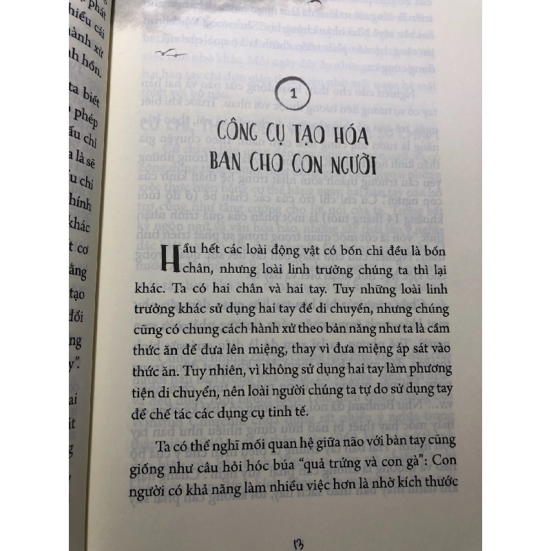 Thay đổi vận mệnh từ bàn tay 2022 mới 85% bẩn bụi Sandra Kynes HPB2606 KHOA HỌC ĐỜI SỐNG 916065