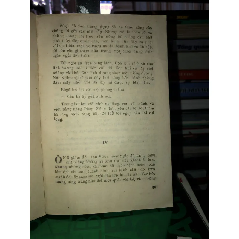 Sư tử - Joseph Kessel 784587