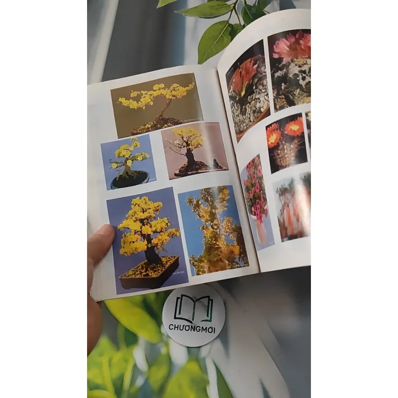 Kỹ Thuật Trồng Hoa Kiểng - Huỳnh Văn Thới 727272