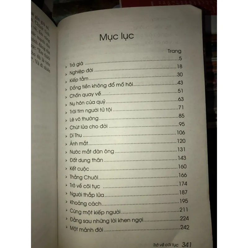 Trở về cõi tục - Trầm Nguyên Ý Anh 1011125