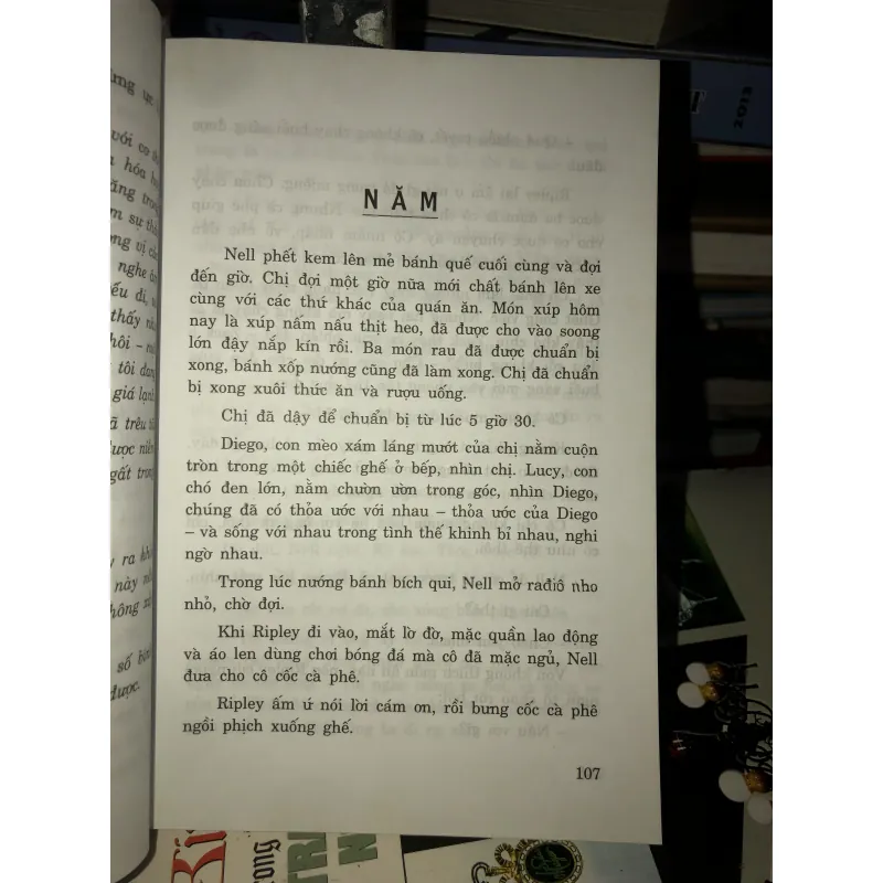 Trời và đất - Nora Robert 1004742