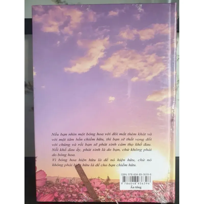 Hương Giữa Gió Ngàn - Thích Thái Hòa 690935