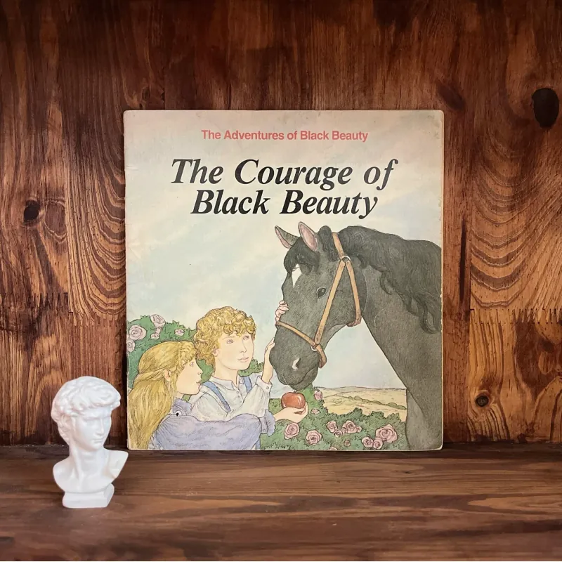 ✨𝑻𝒉𝒆 𝑪𝒐𝒖𝒓𝒂𝒈𝒆 𝒐𝒇 𝑩𝒍𝒂𝒄𝒌 𝑩𝒆𝒂𝒖𝒕𝒚✨ 675195