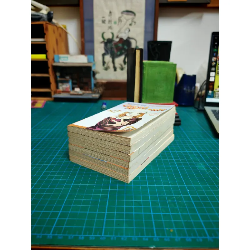 TRUYỆN TRANH CHỈ CÓ MÌNH ANH 324415