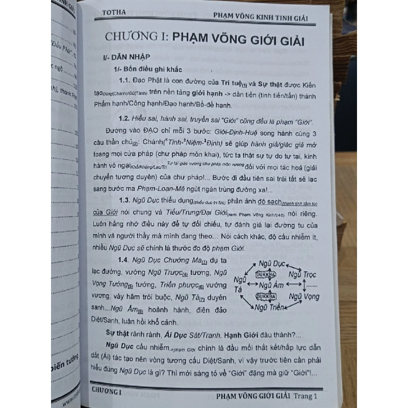 Phạm Võng Kinh tinh giải - Totha 786930