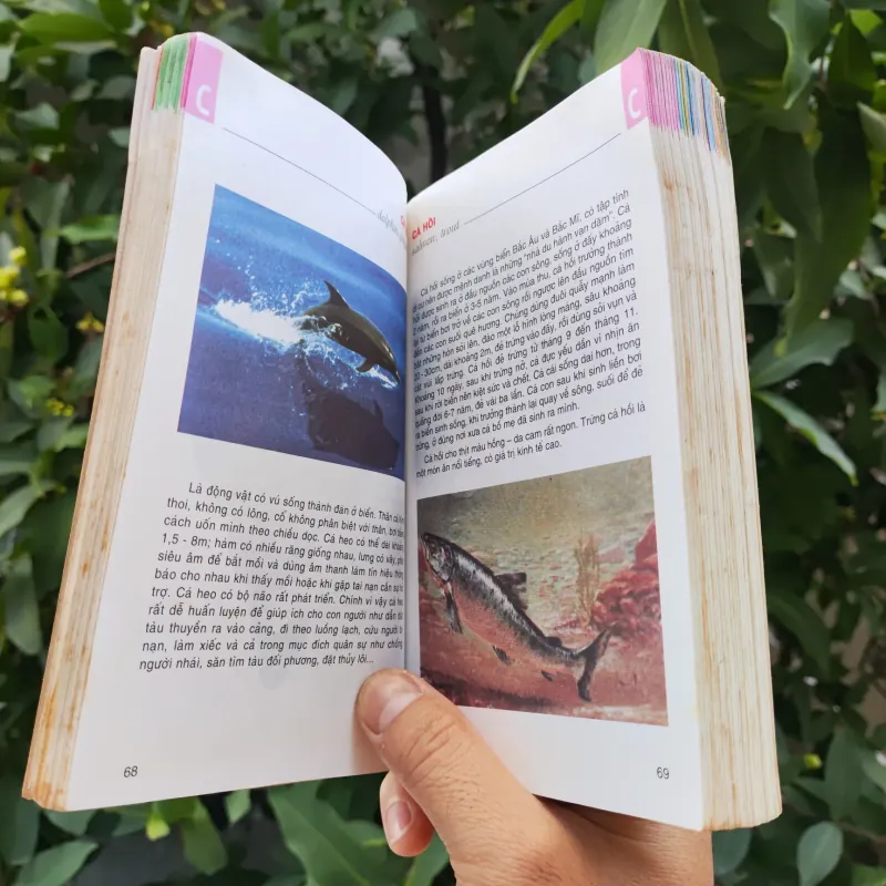 Từ Điển Tranh Về Các Con Vật - Lê Quang Long 753786