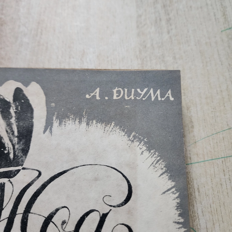 Hoa tulip đen | A Dumas  503742