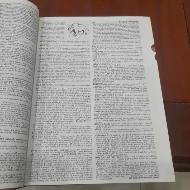 WEBSTER'S NEW WORLD COLLEGE DICTIONARY 751044