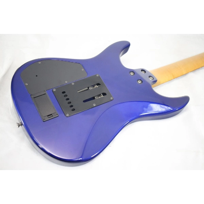 ＦＥＲＮＡＮＤＥＳ ＦＲ－６５Ｓ - Hàng hiệu Authentic 879416