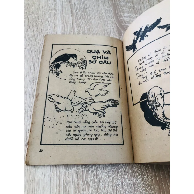 MARTIN IDON ( Tiểu thuyết) 929043