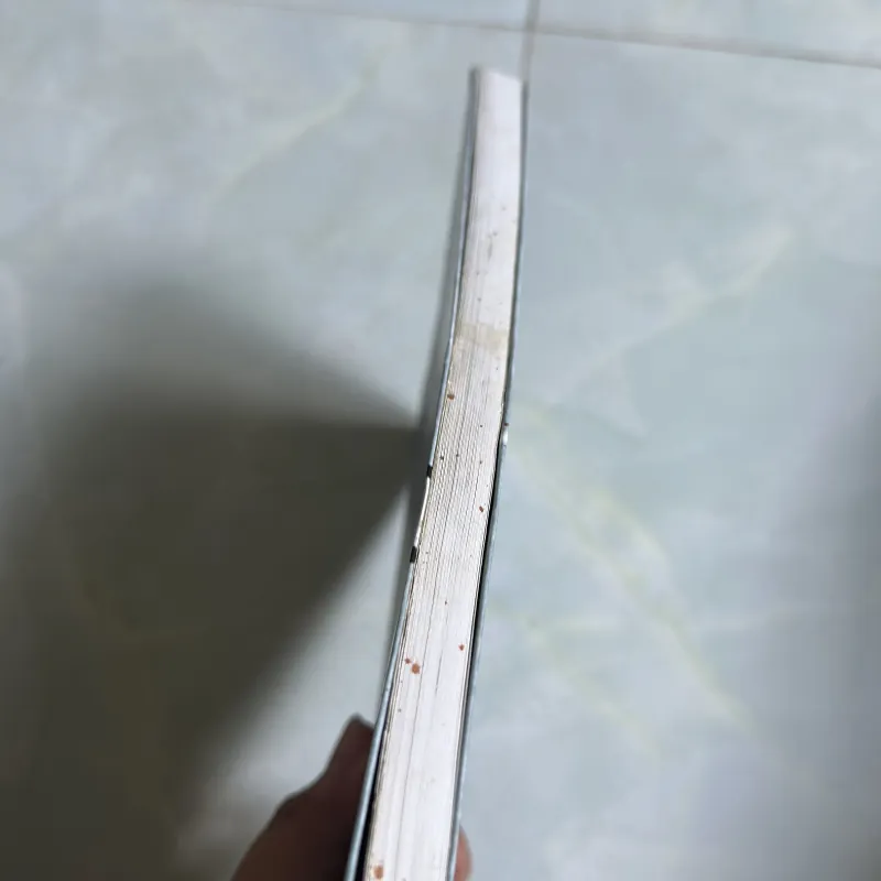 Sách Sương khói quê nhà - Nguyễn Nhật Ánh 1013178