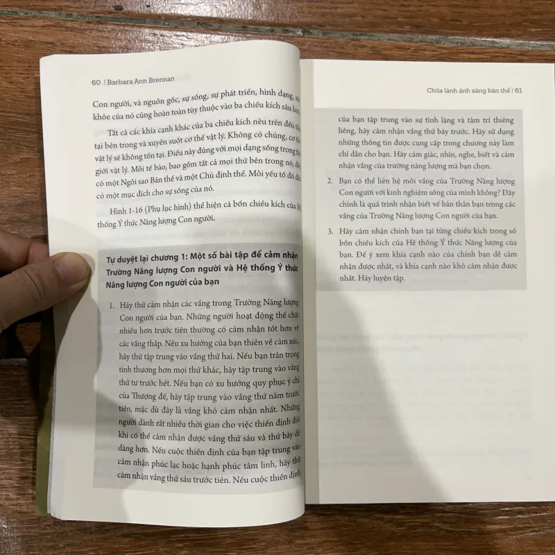 Chữa Lành Ánh Sáng Bản Thể - Barbara Ann Brennan (8) 784186