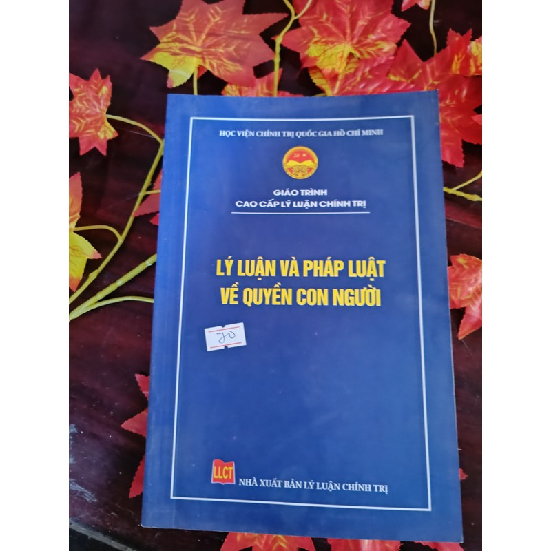 Lý Luận Và Pháp Luật Về Quyền Con Người 195199